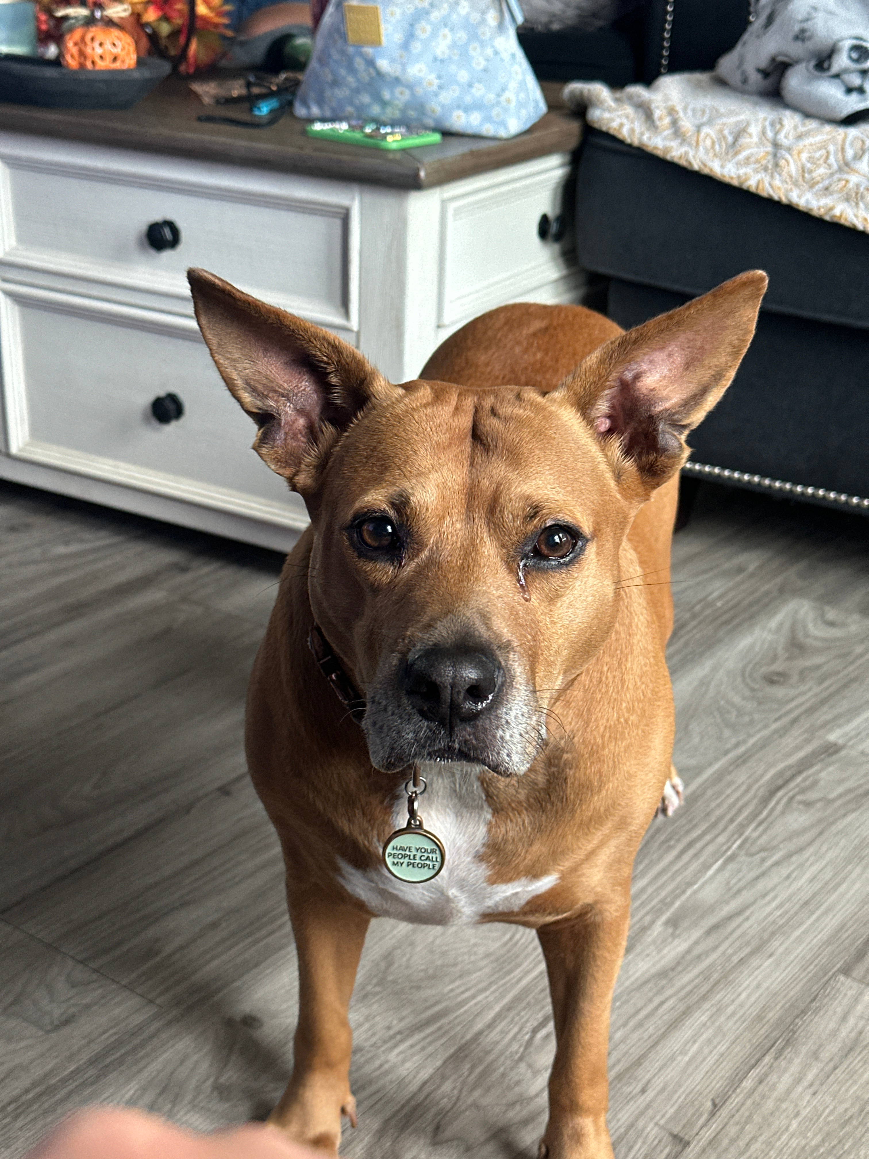 user avatar image for Kadorja