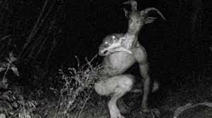 Goatman's Bridge to find the half-man/half-goat cryptid