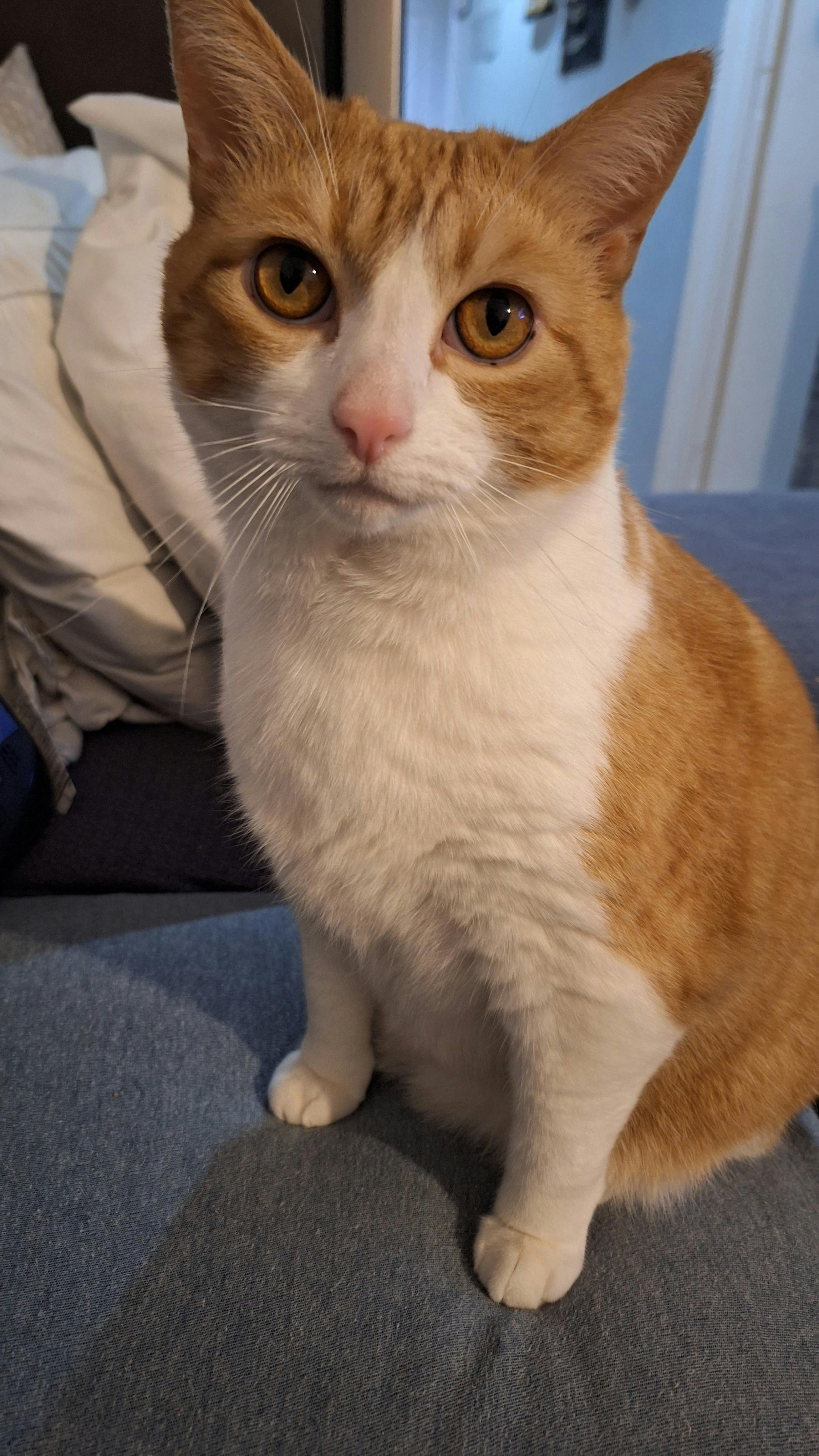 user avatar image for Ayrianna