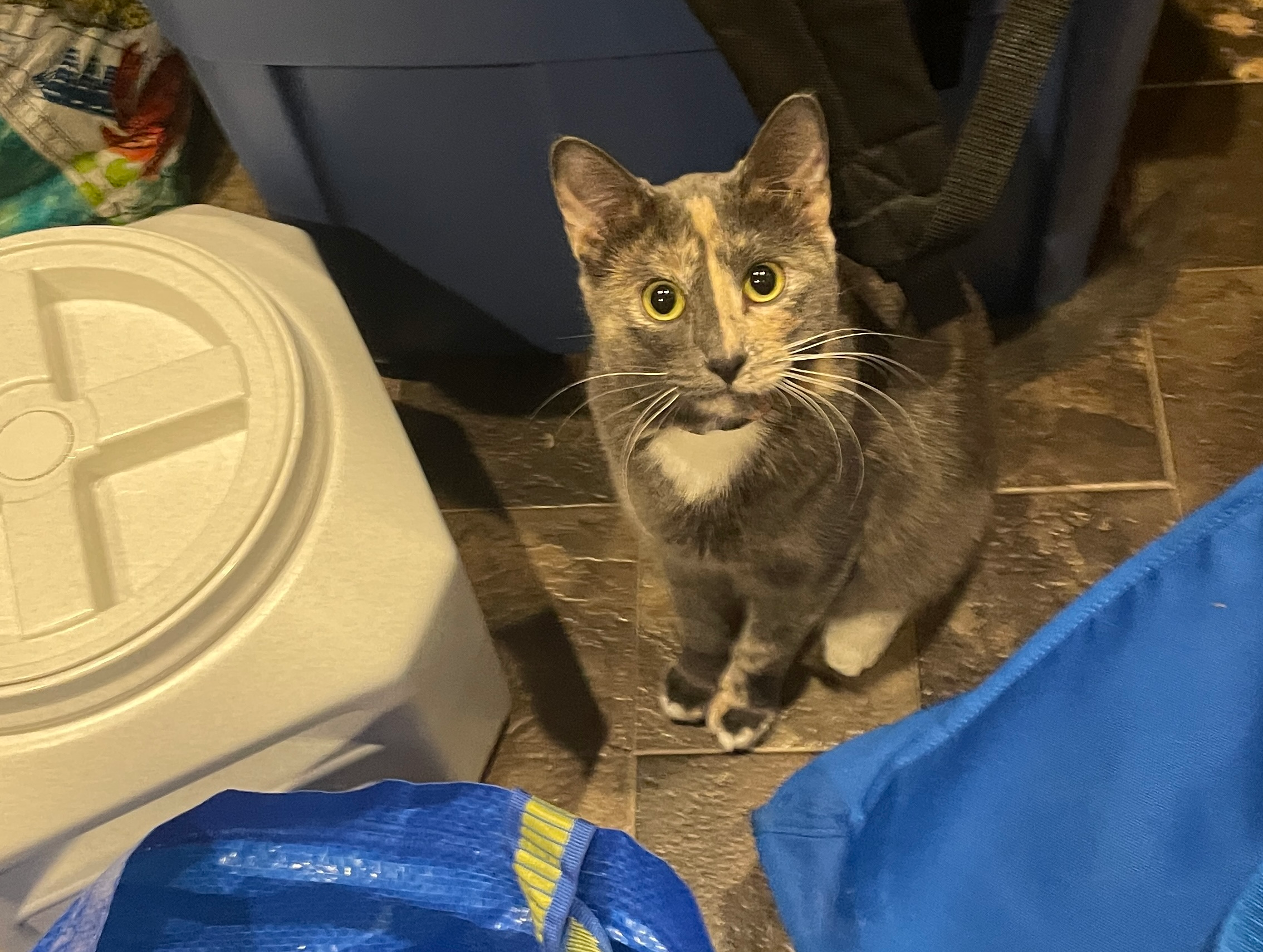 user avatar image for Mayhem87