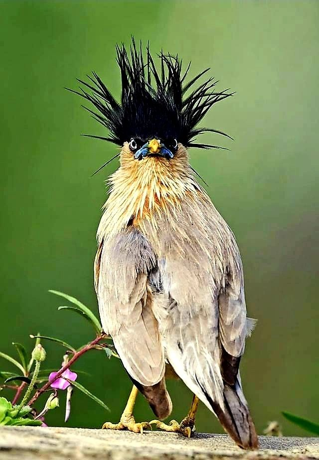 user avatar image for Mies