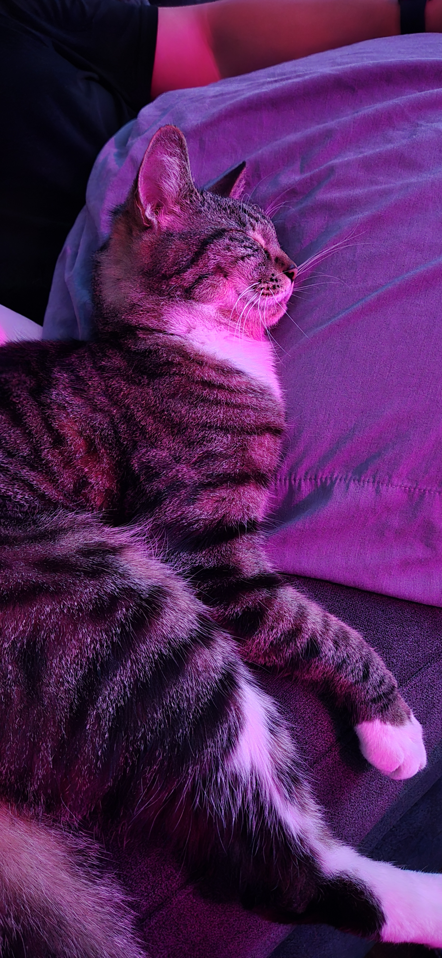 user avatar image for Frank