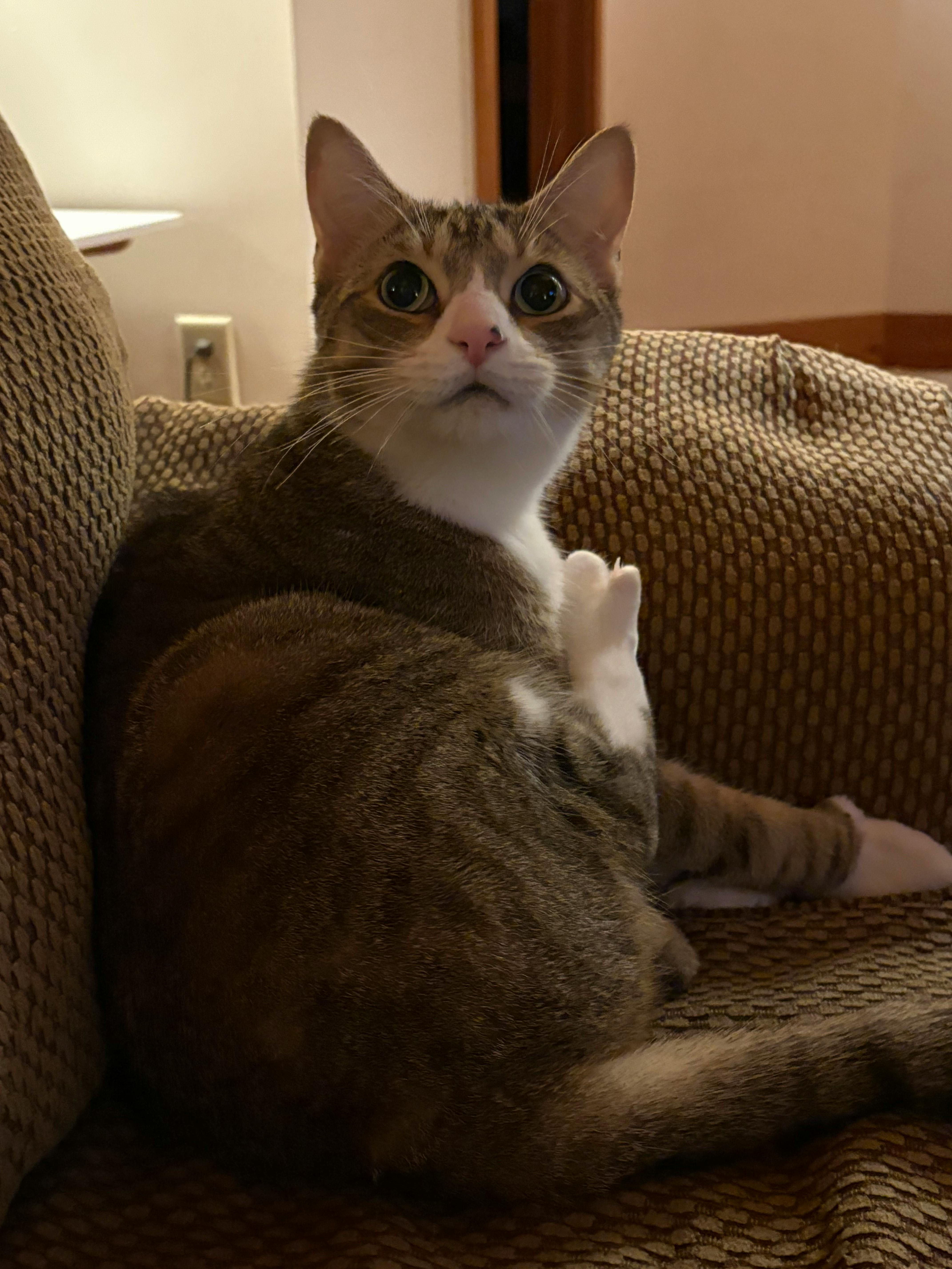 user avatar image for Fiona Scott