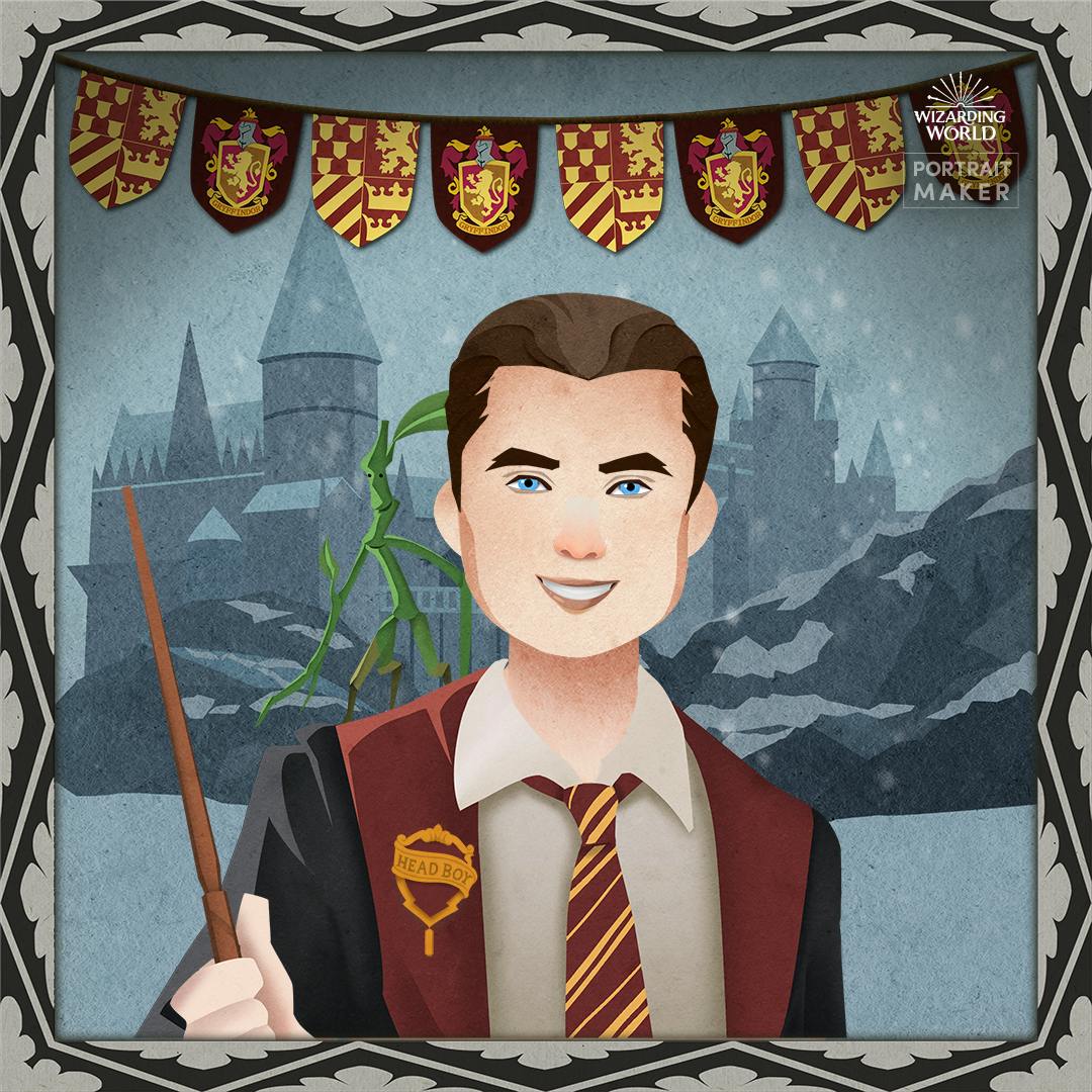 user avatar image for Wickedstormy