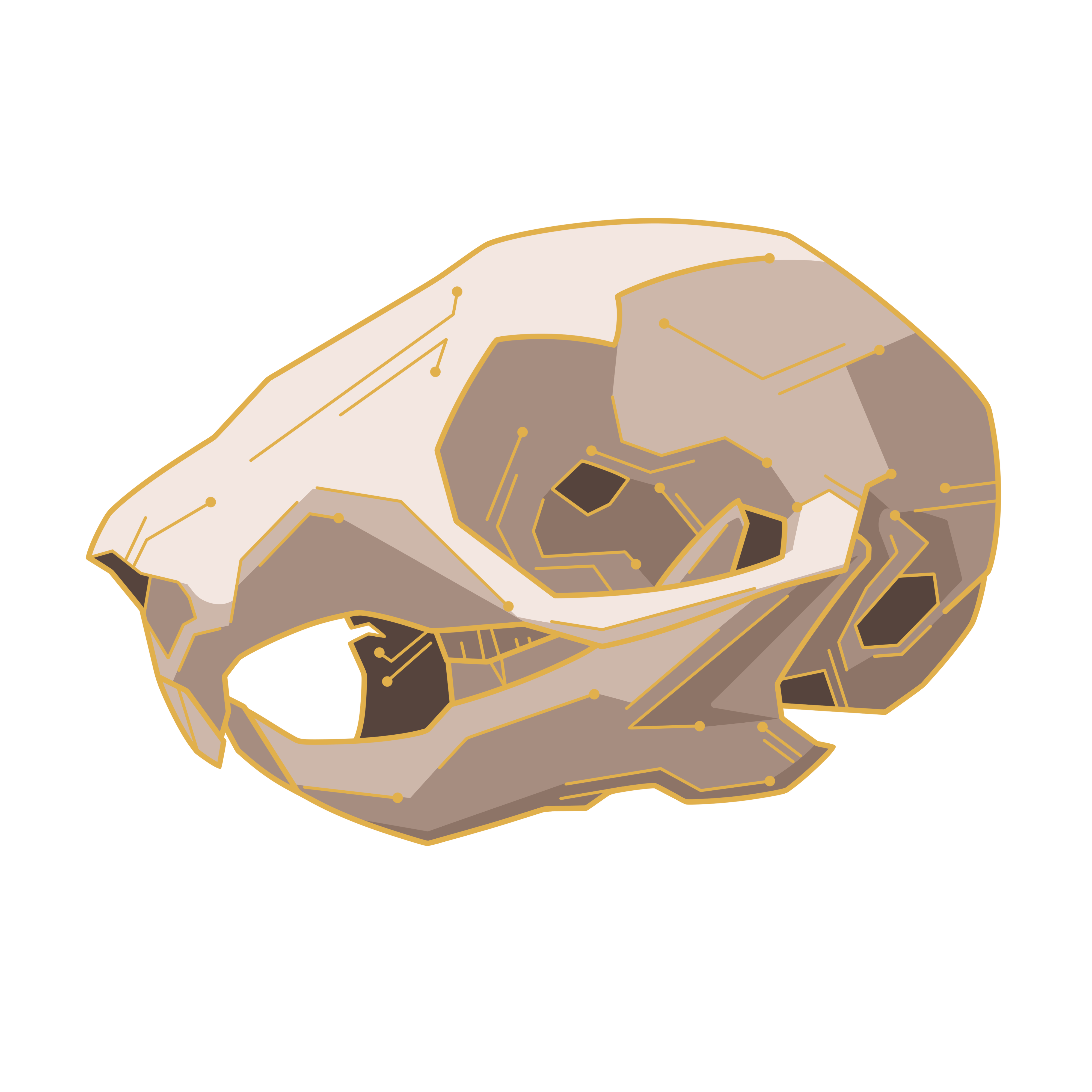 Circuit Squirrel Skull