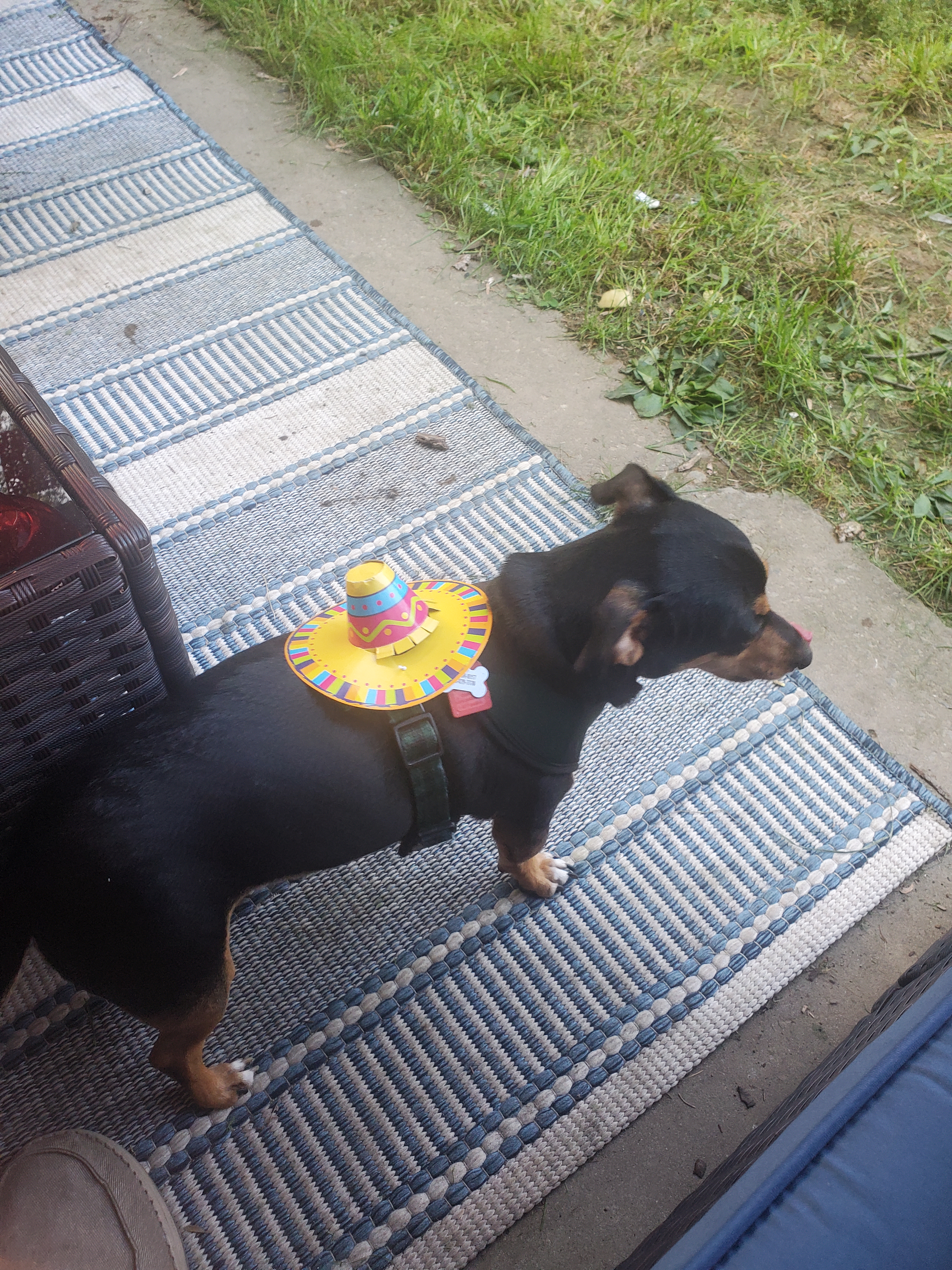 user avatar image for Mike J