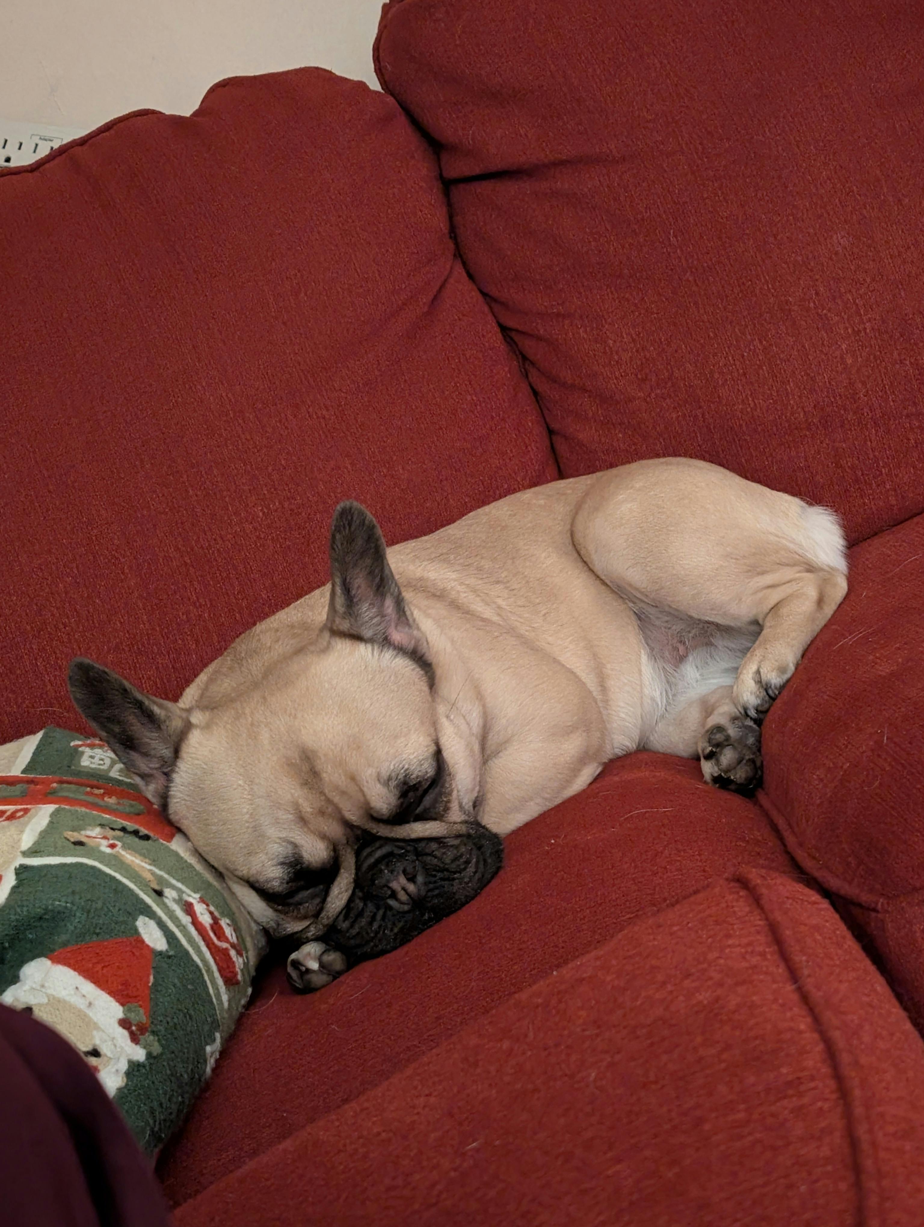 user avatar image for Kaitlyn L