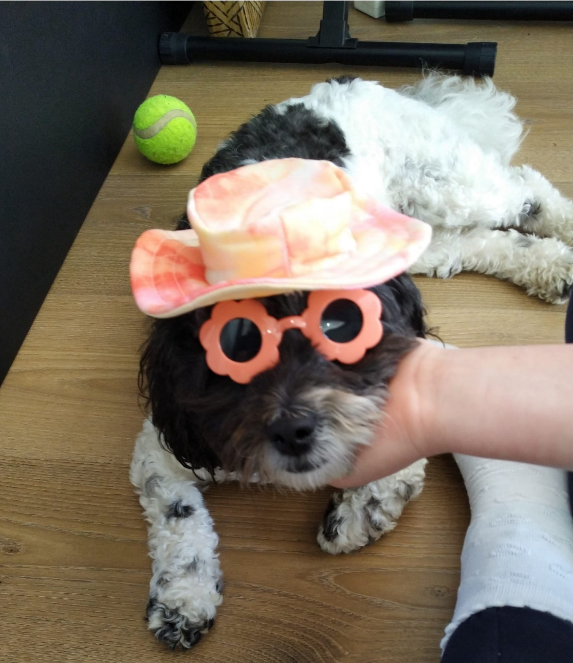 user avatar image for Nick Gosney