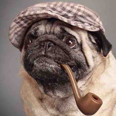 user avatar image for FuglyPug