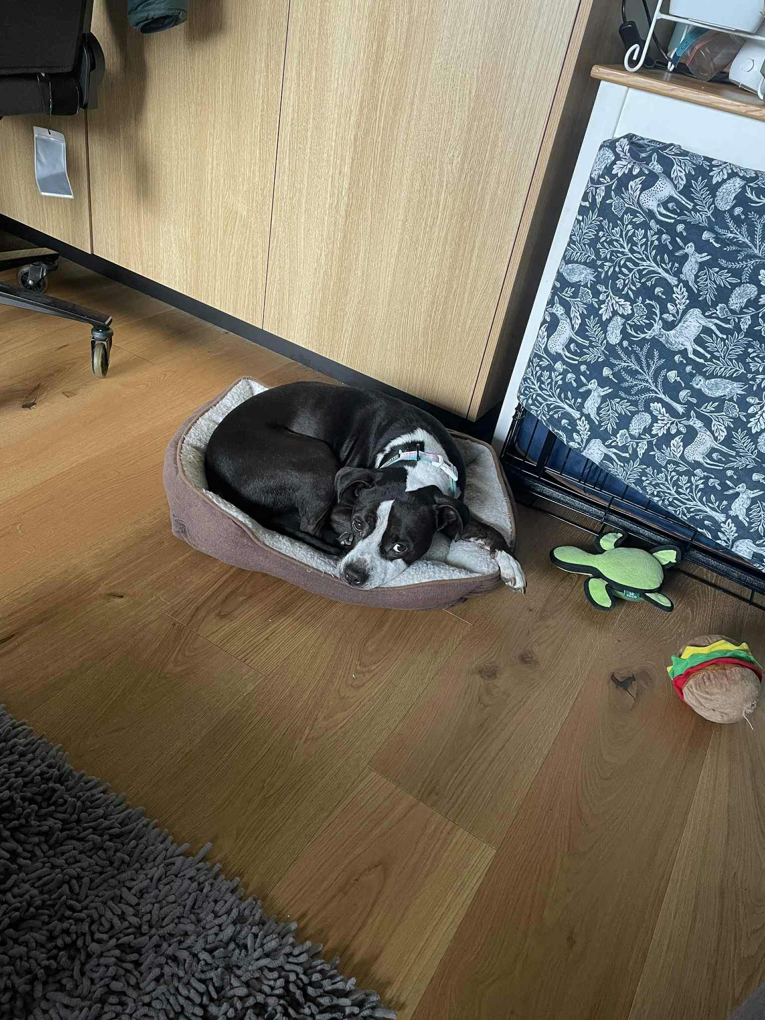 user avatar image for Blake Ryan