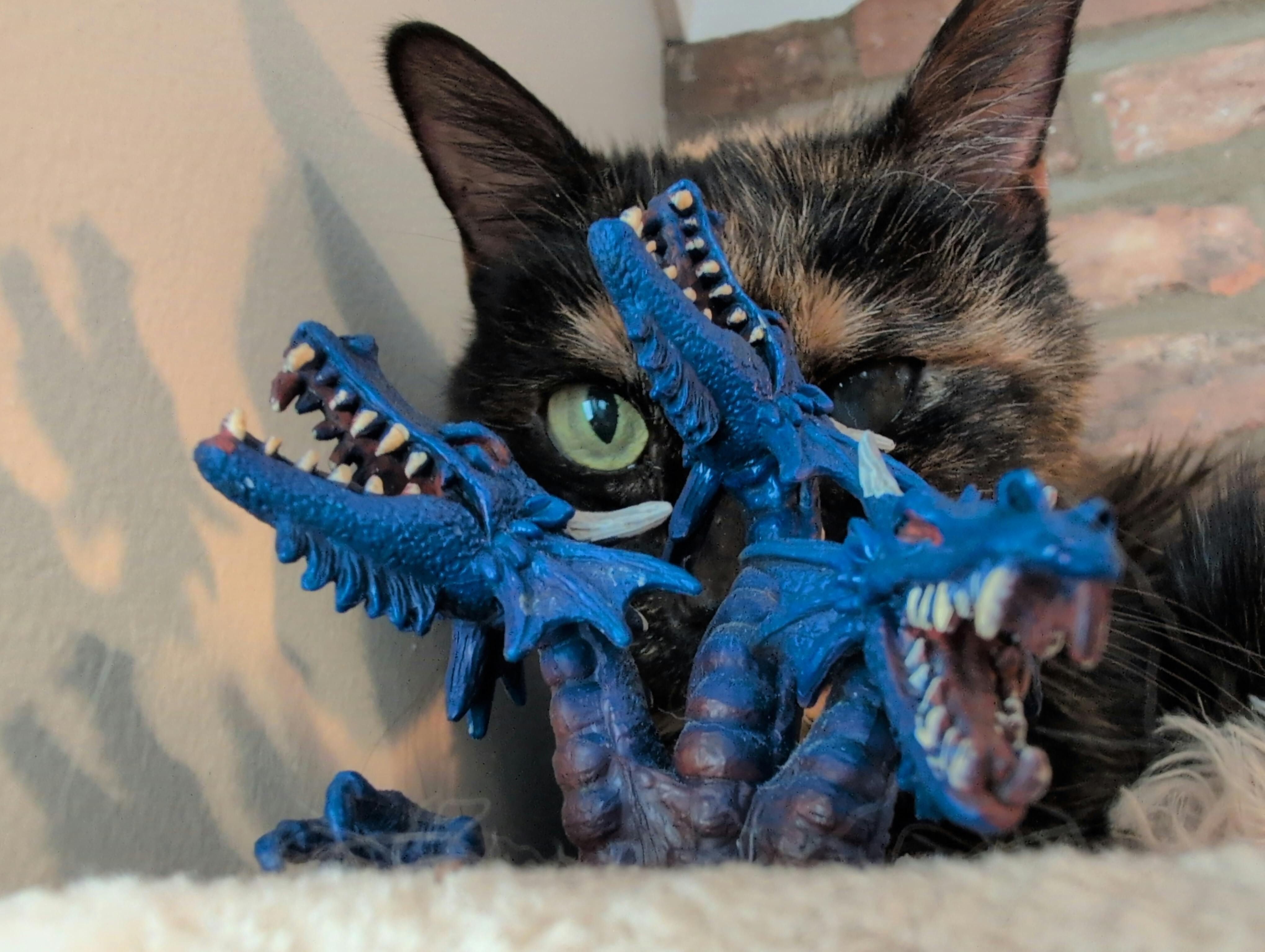 user avatar image for xXbraintrafficXx