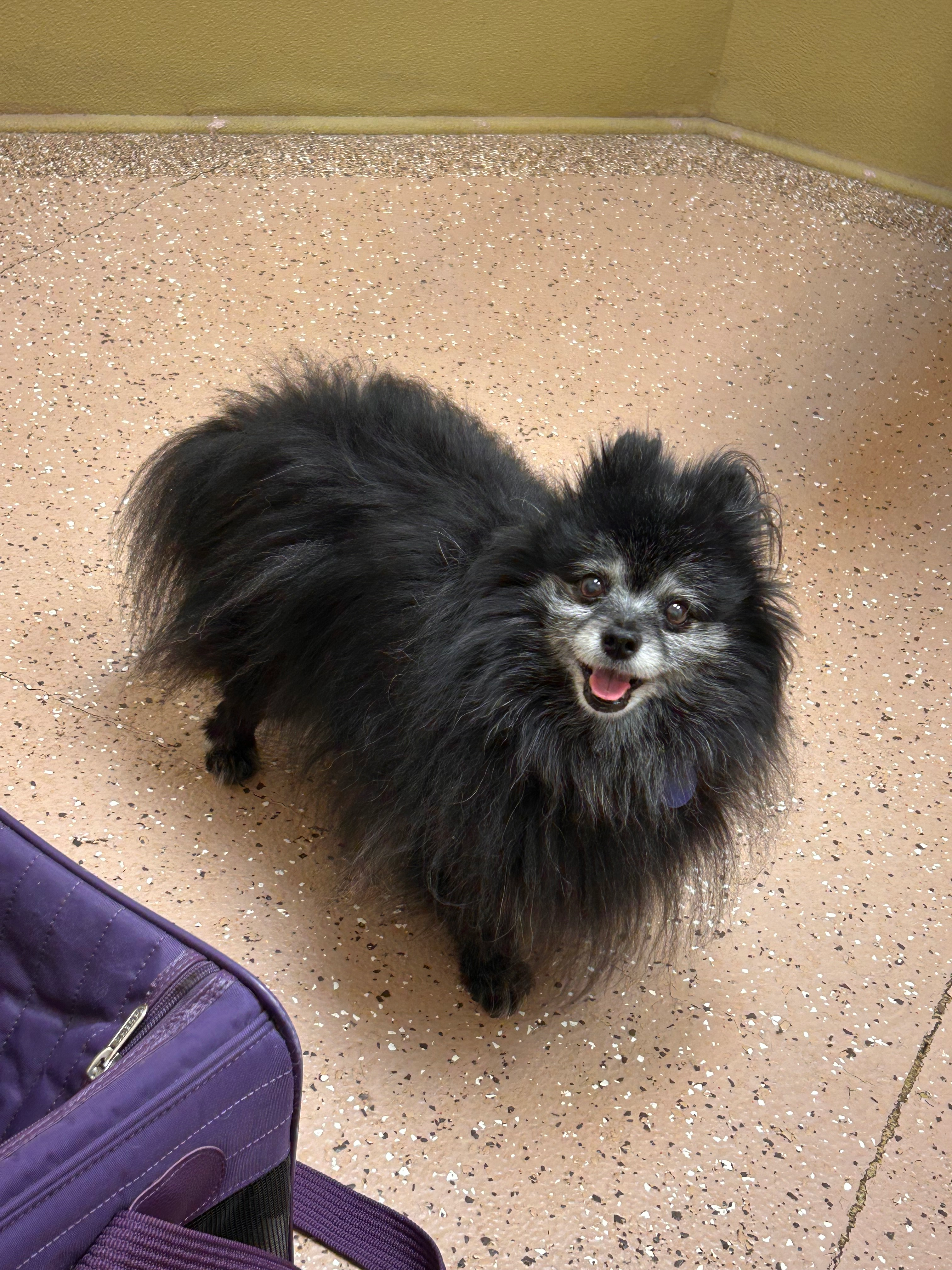 user avatar image for Nicki Koontz