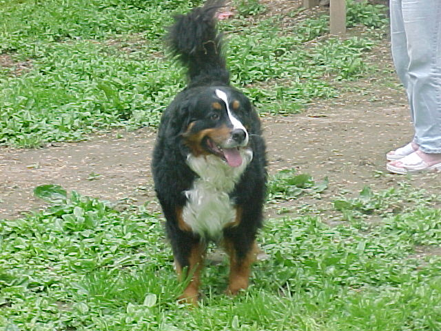 user avatar image for Snstrmdgt