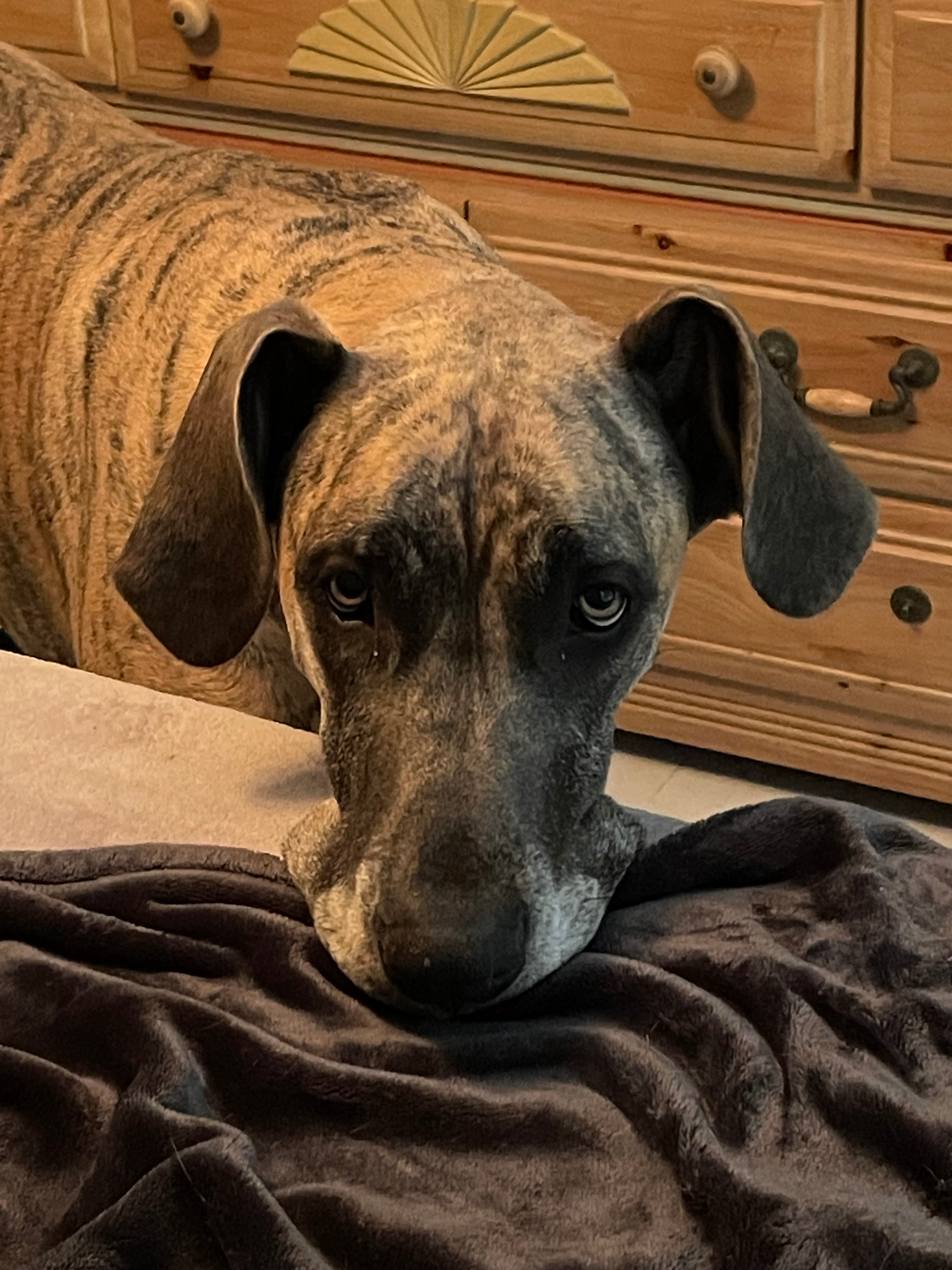 user avatar image for HeavenlyKira