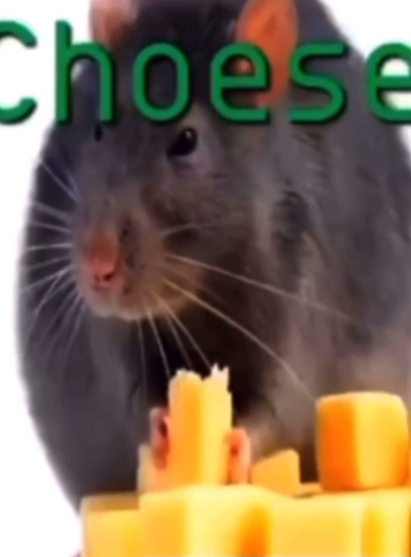 user avatar image for Caroline