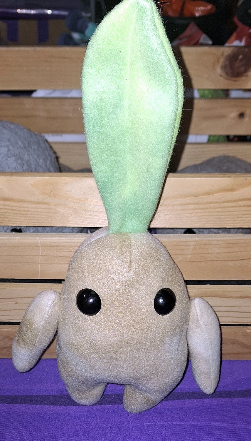 Mandrake - One Leaf - Large Size