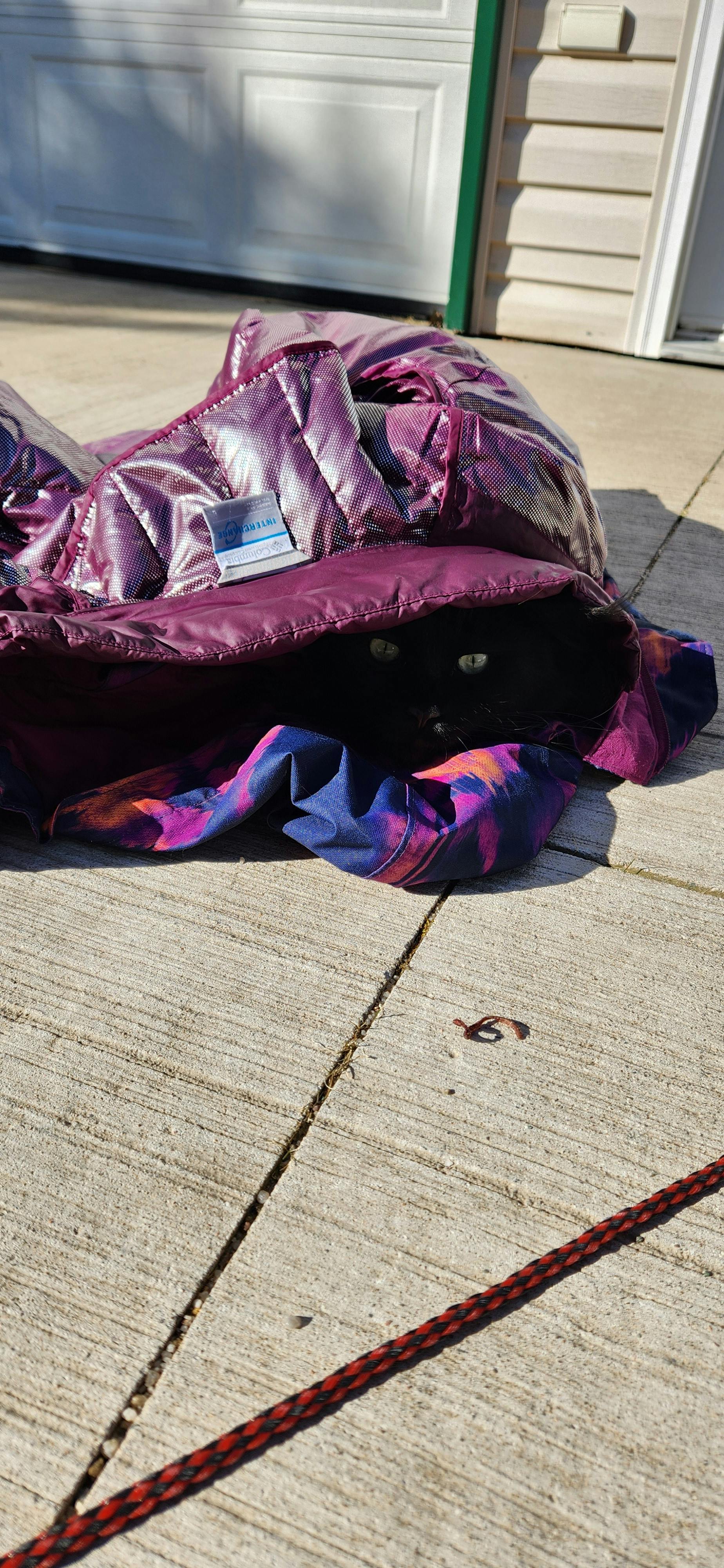 user avatar image for Amanda 