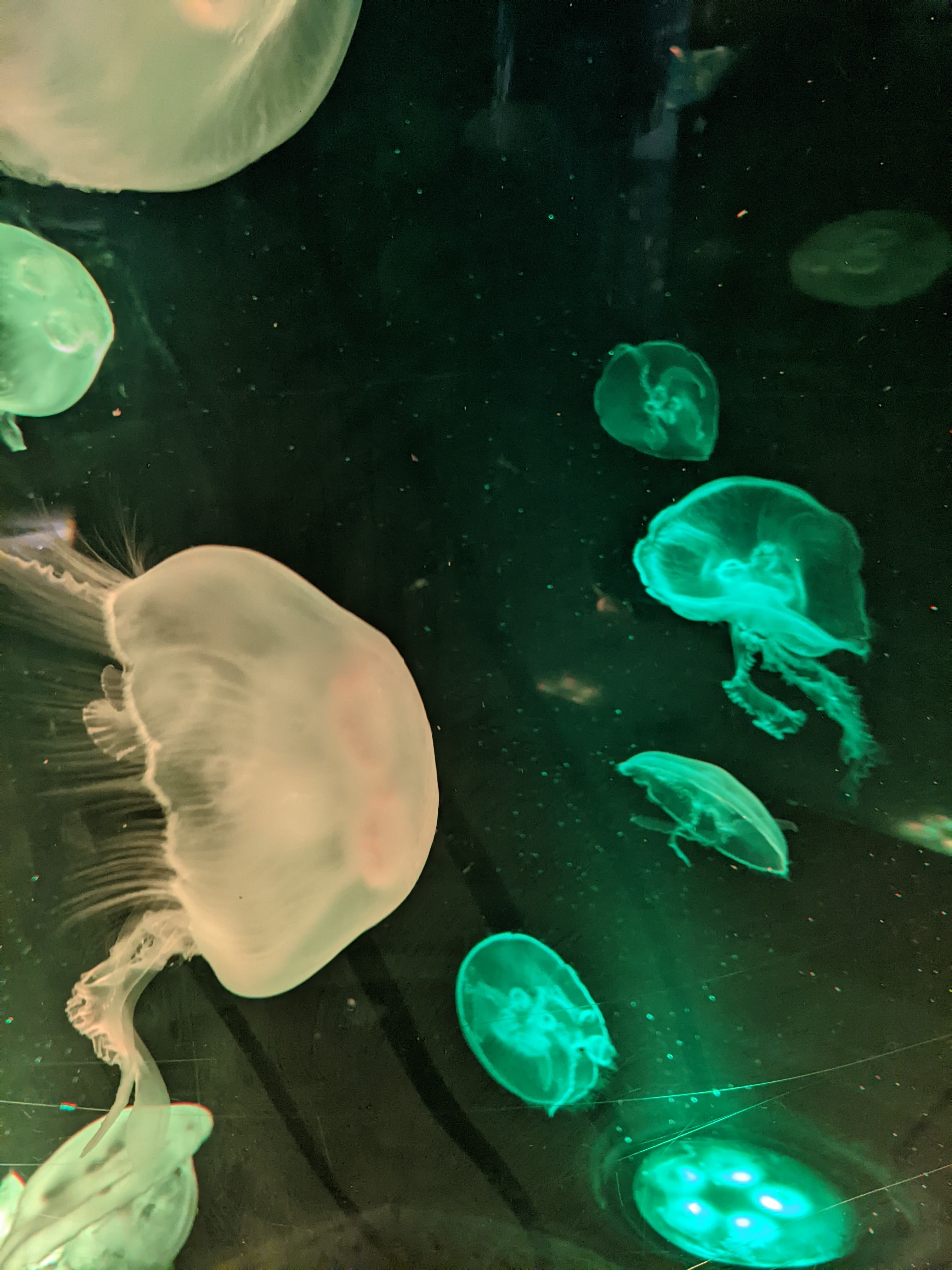 user avatar image for Finch