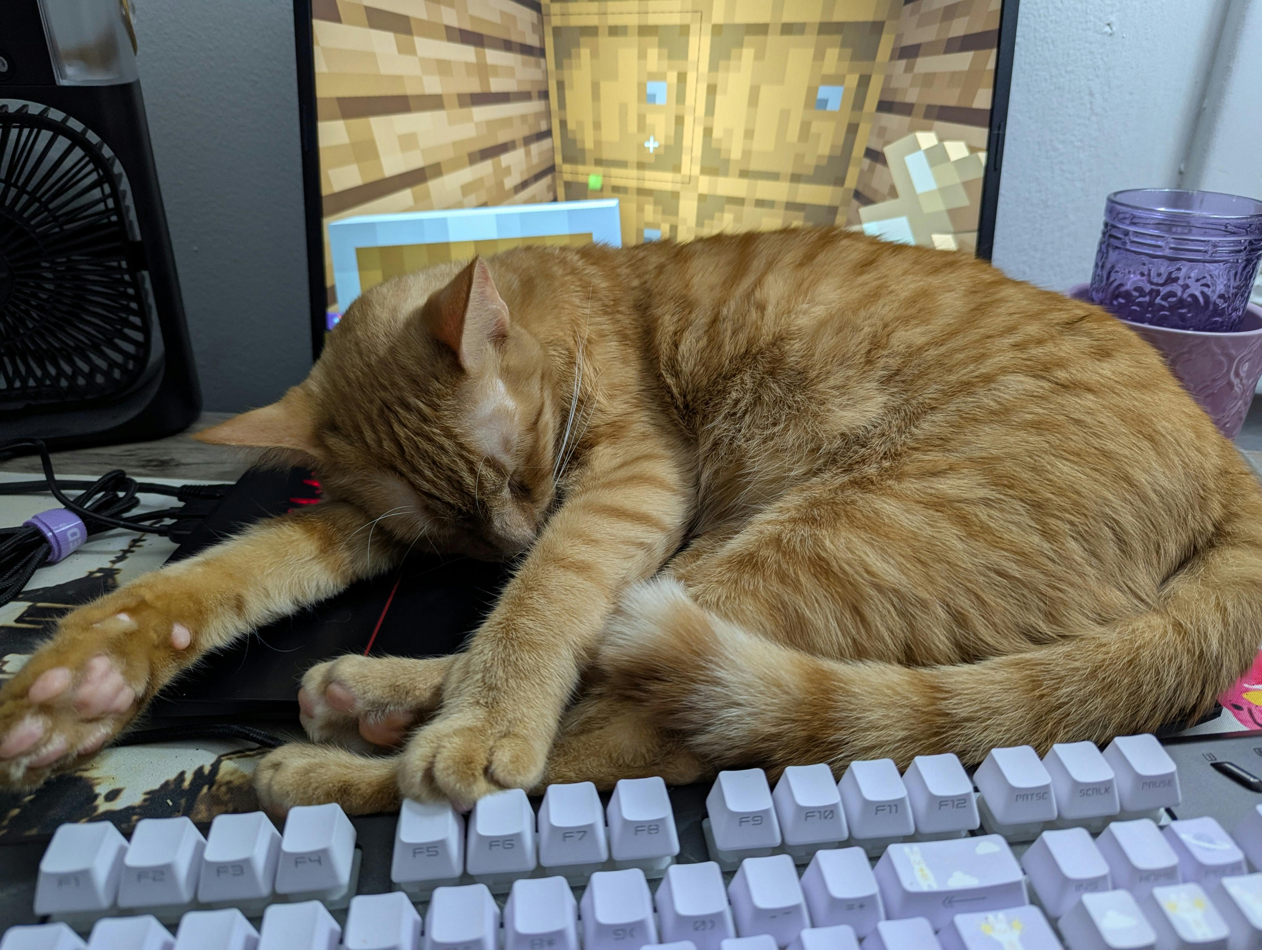 user avatar image for Merideth