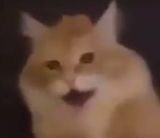 user avatar image for Grill