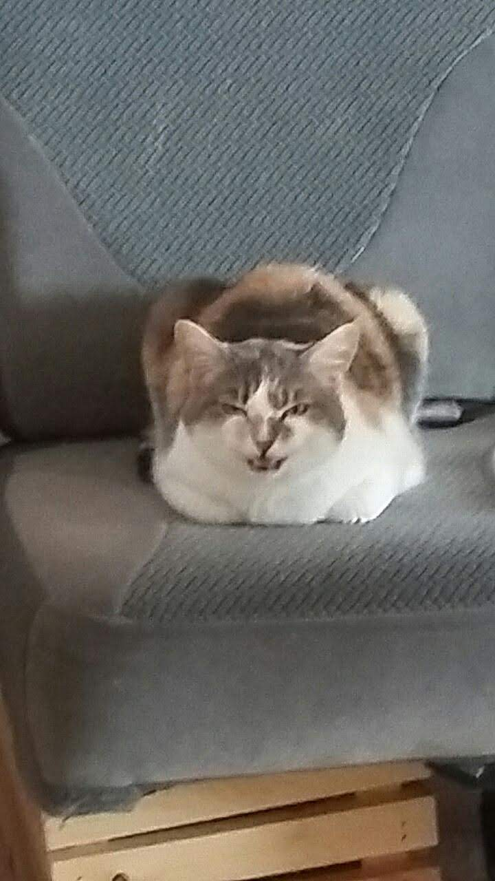 user avatar image for S. E. Vidrio