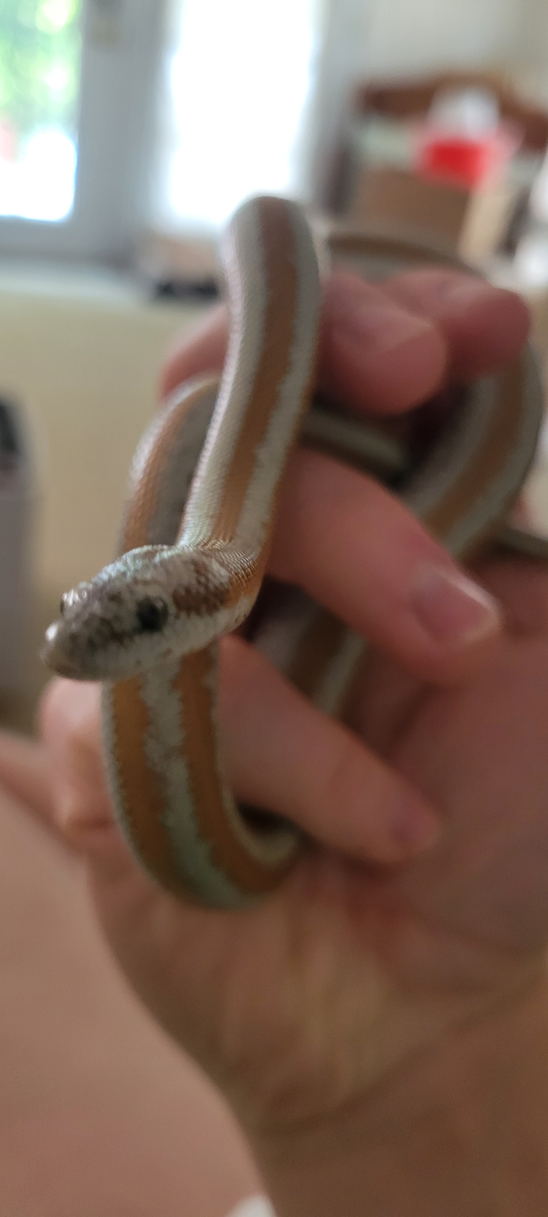 user avatar image for Cameron