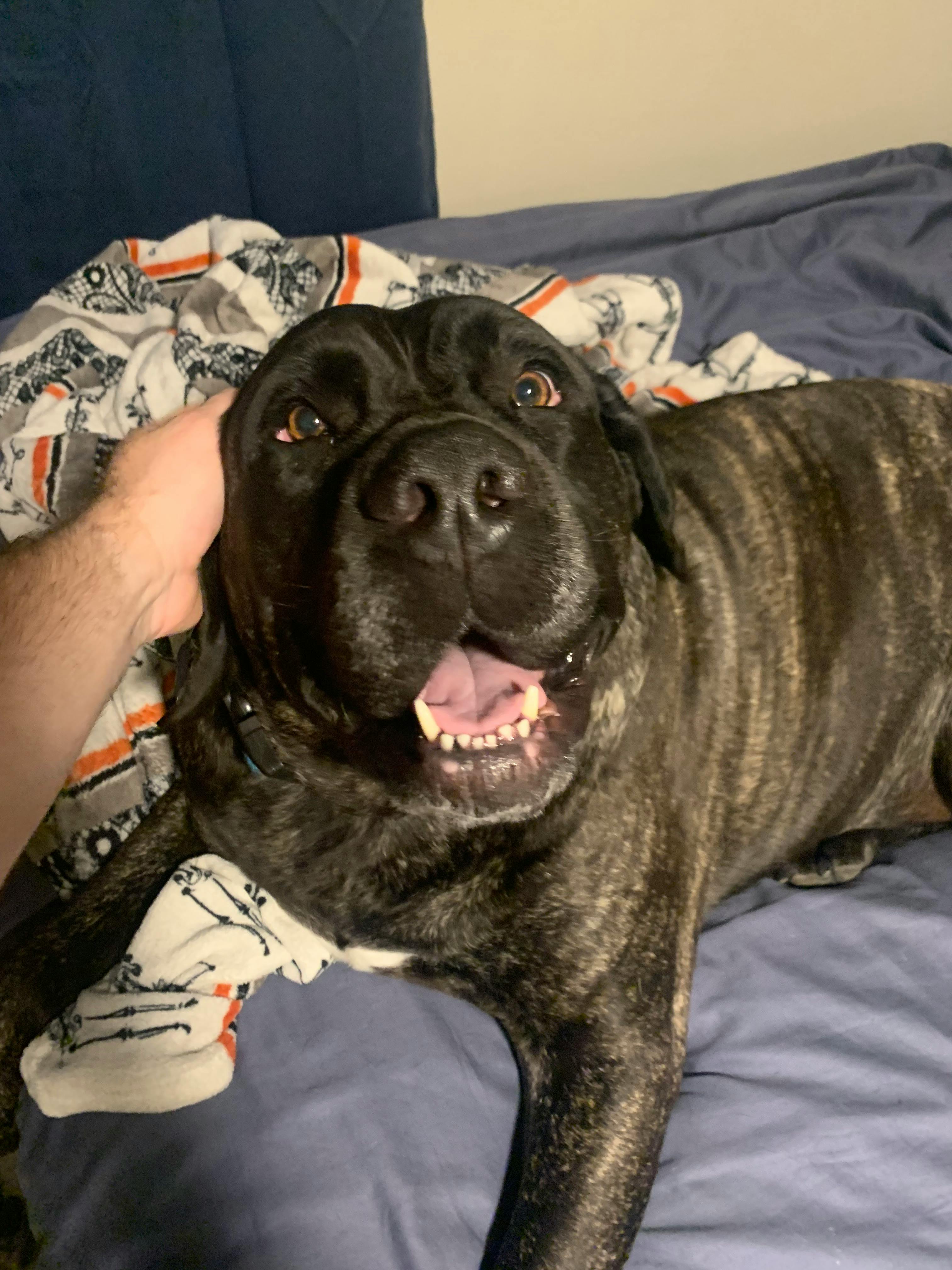 user avatar image for Brendan