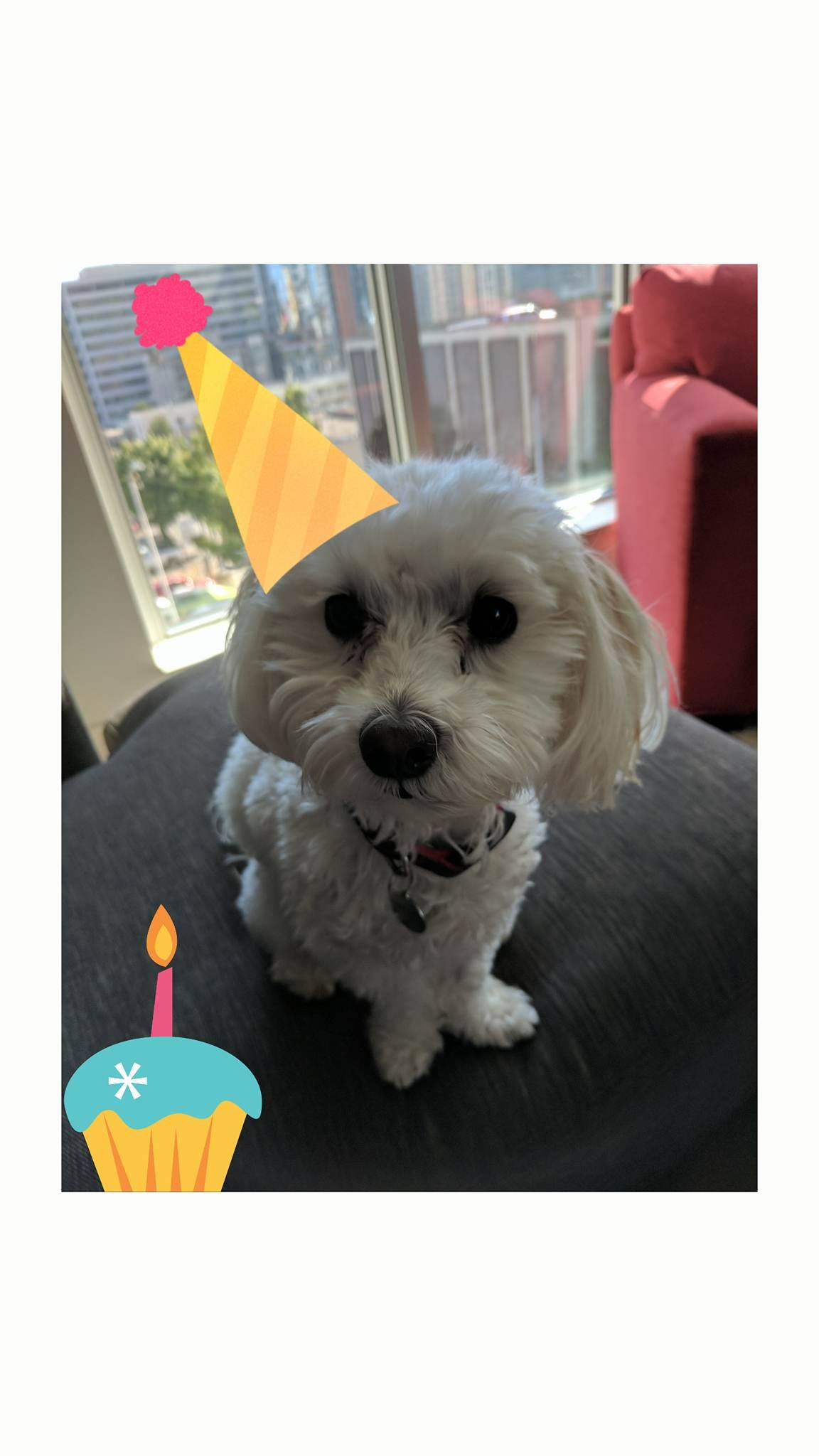 user avatar image for Dave Chase