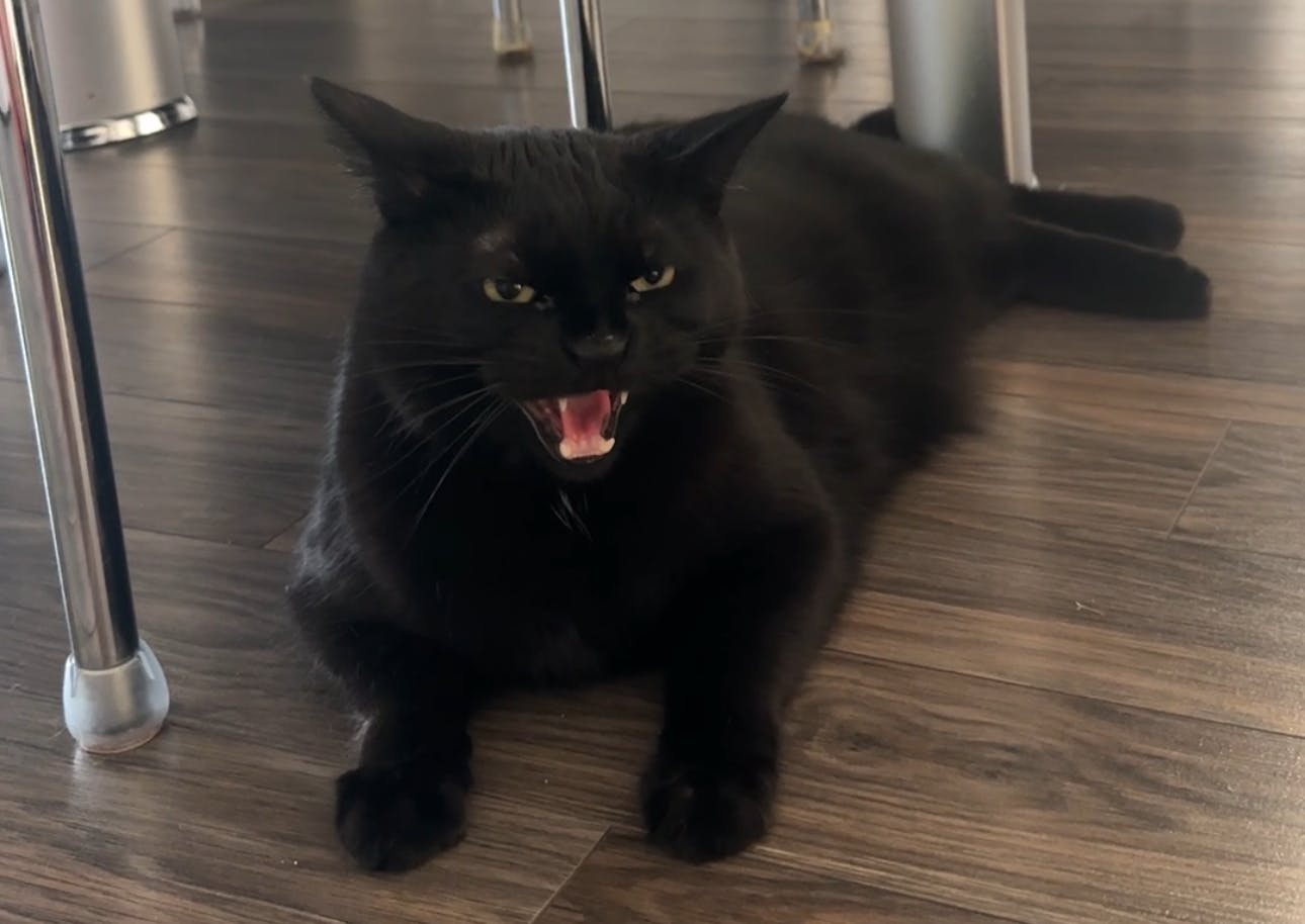 user avatar image for Victor Thorns