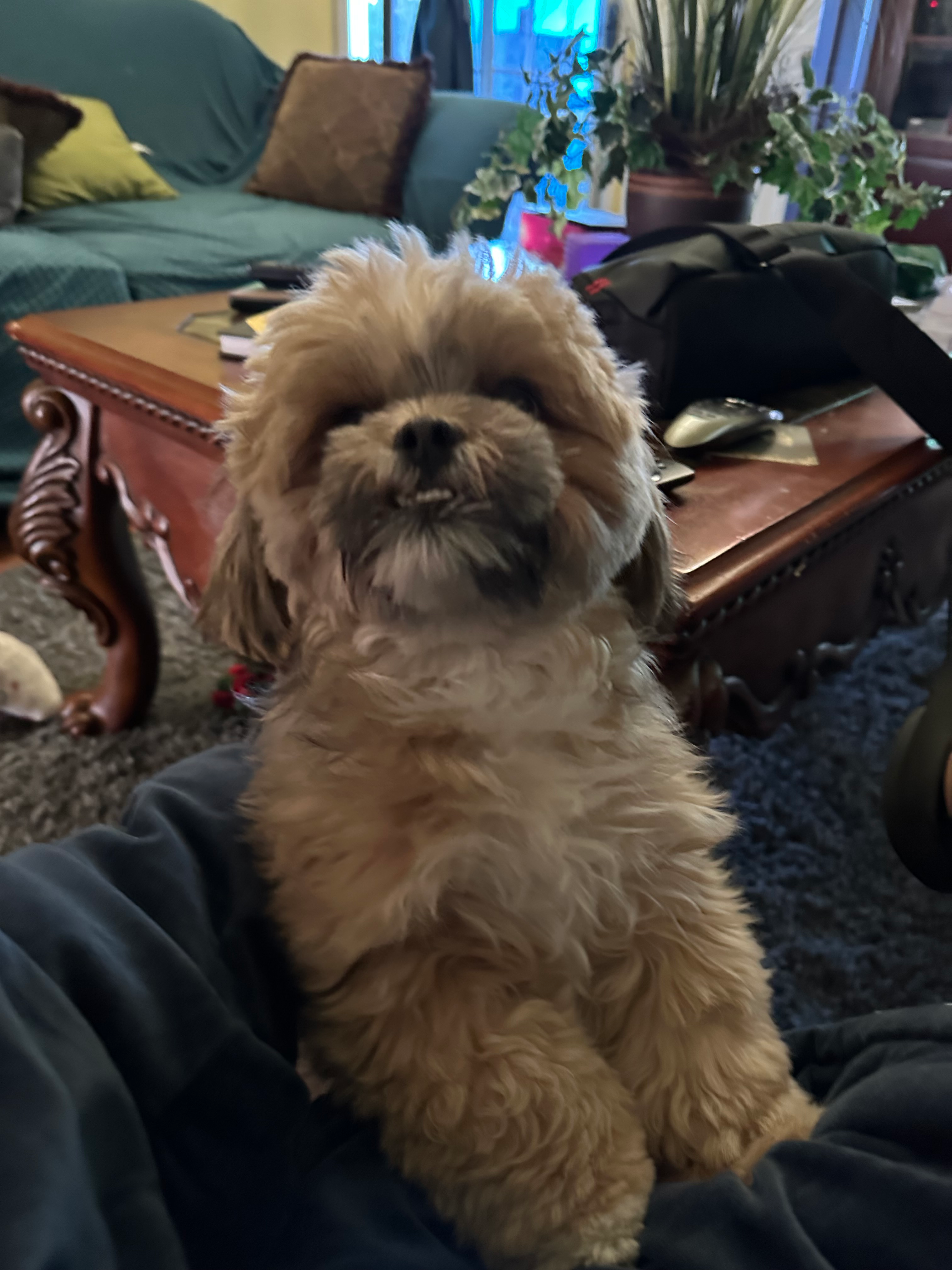 user avatar image for Josef de Castro