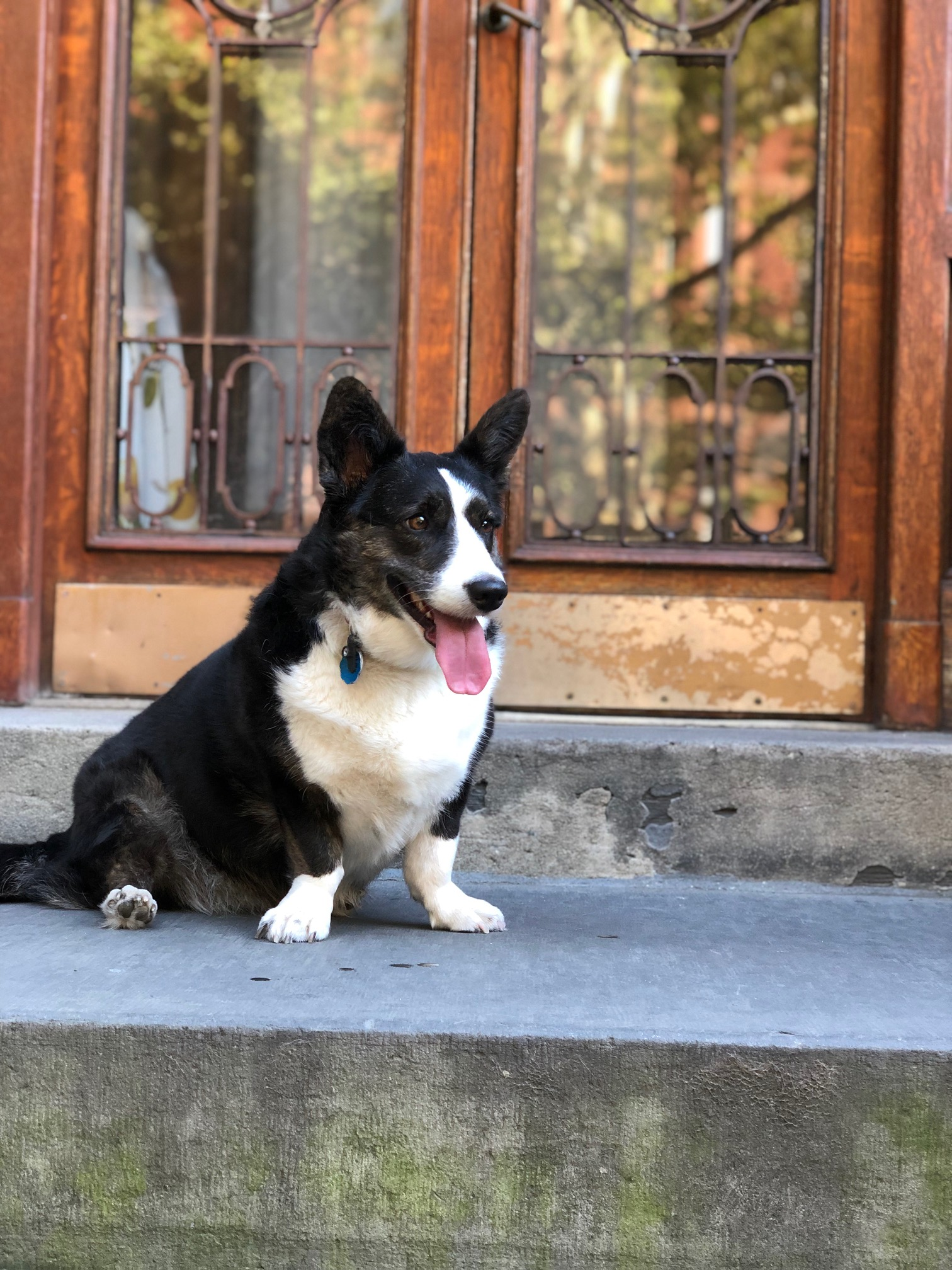 user avatar image for Drew Schnoebelen