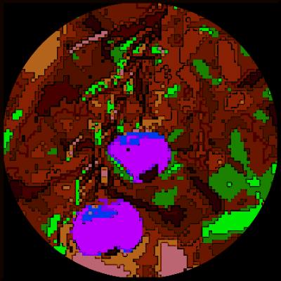 user avatar image for Claire Rodriguez