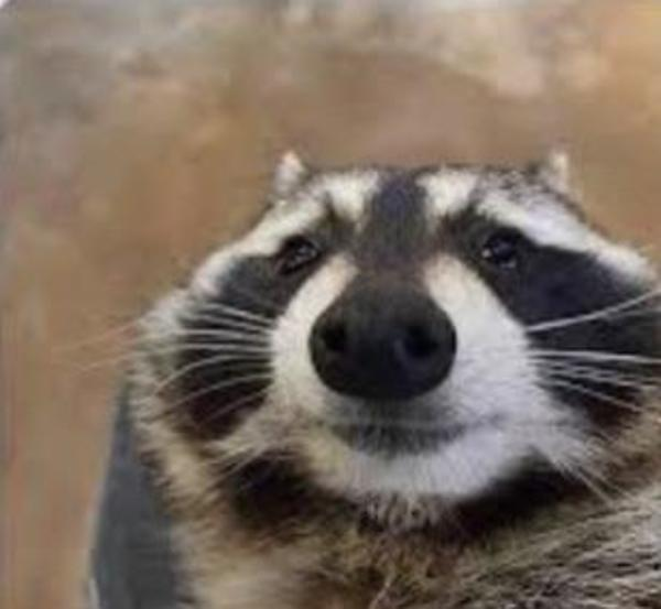 user avatar image for Fidzee