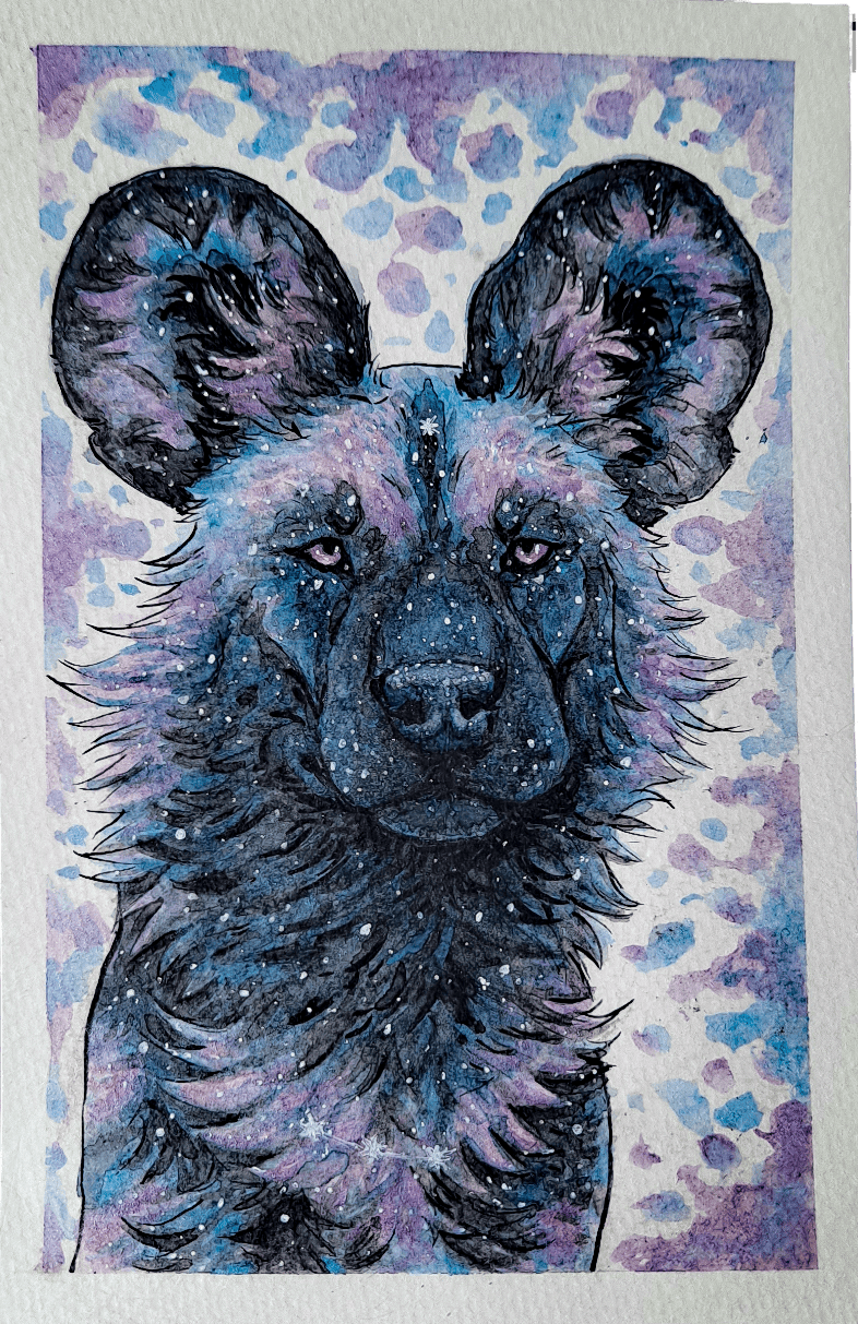 user avatar image for Cali (geckomaster11)