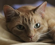 user avatar image for Warren Snider