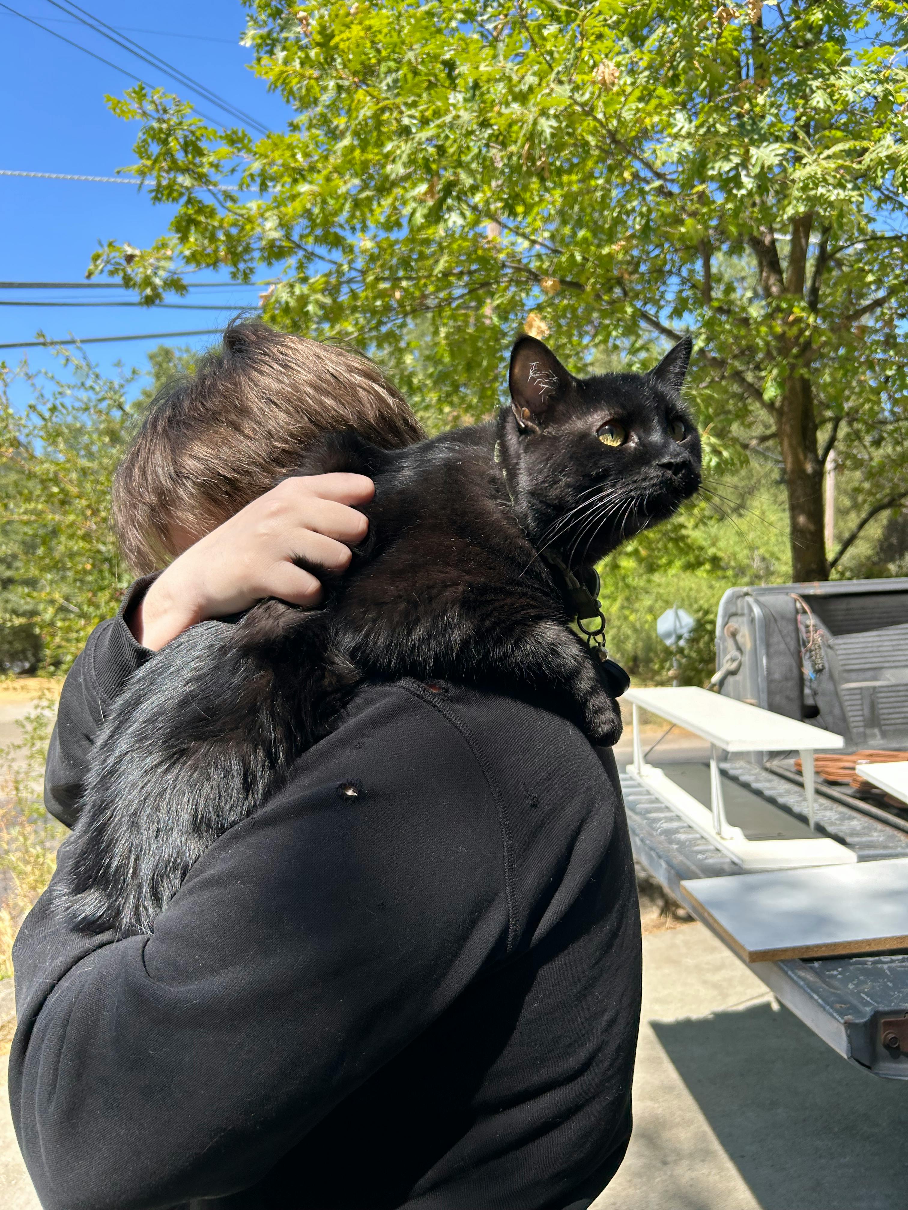 user avatar image for Patti Pendlebury 