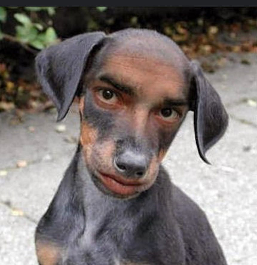 user avatar image for riobel911