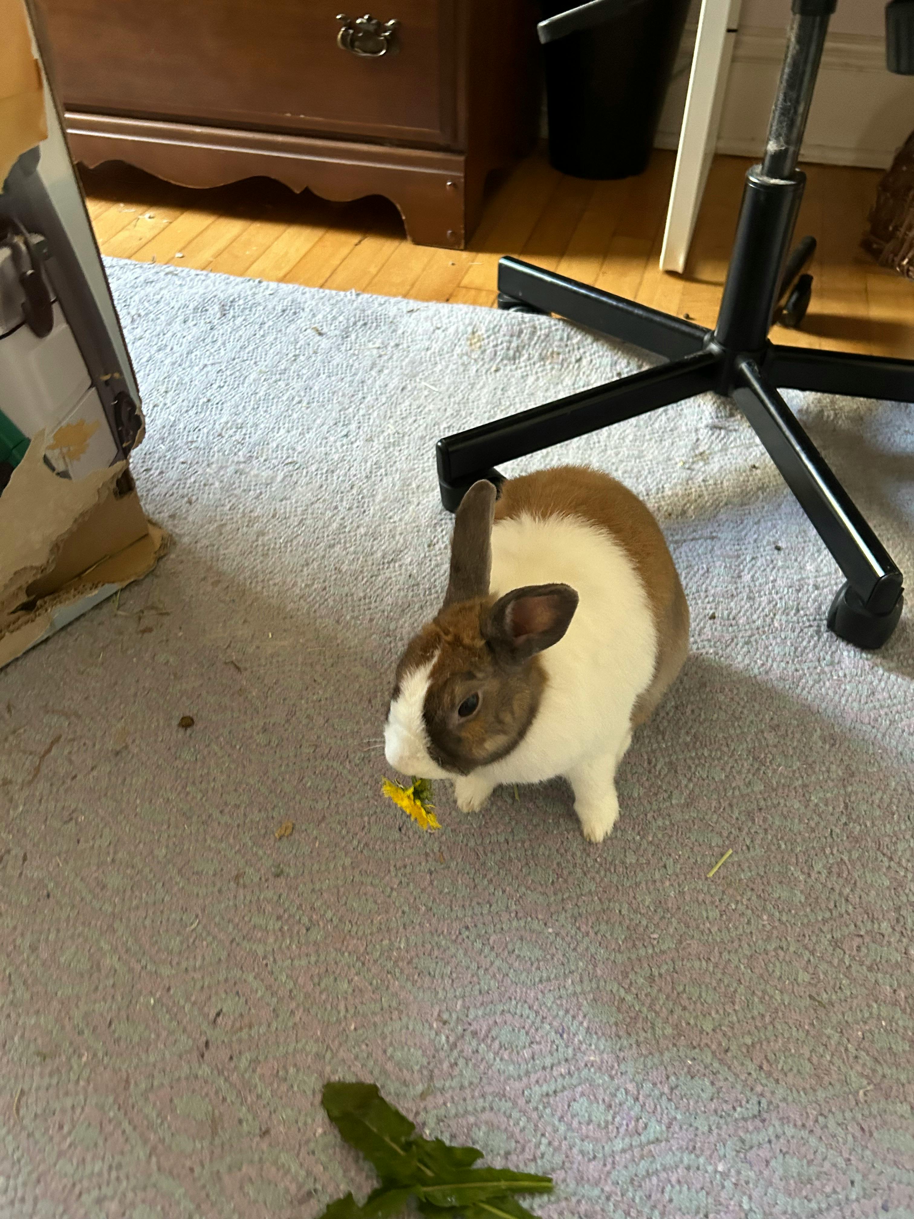 user avatar image for Lorin S