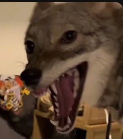 user avatar image for Bella H