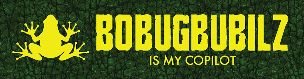 Reach $14,000 to receive a "Bobugbubilz is My Copilot" bumper sticker!