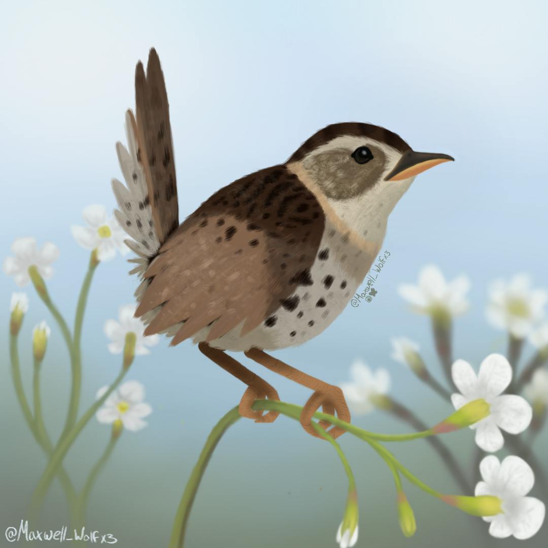 user avatar image for Wren the Forrester