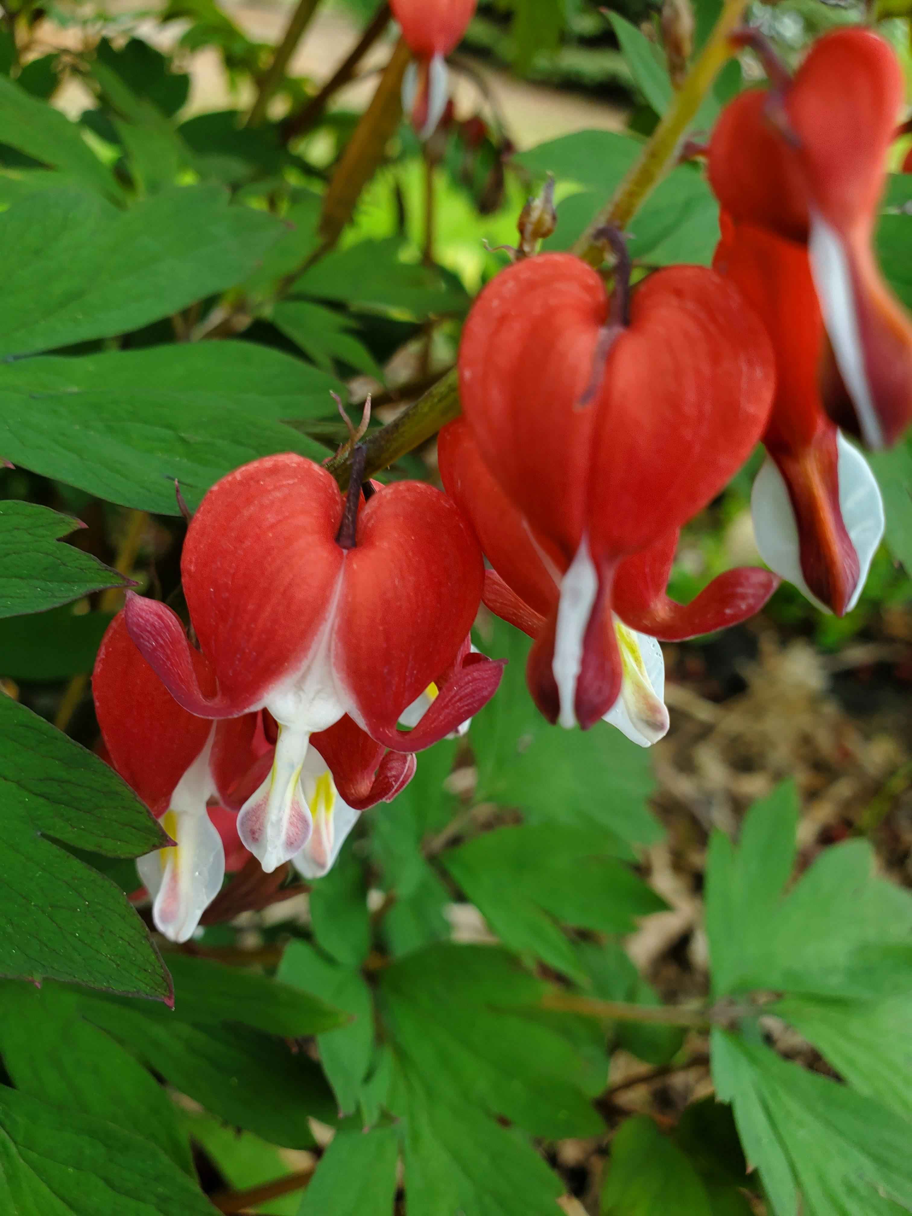 user avatar image for Amanda