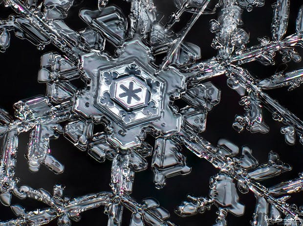 user avatar image for Jordan Moore