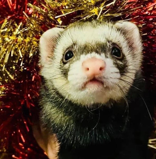 user avatar image for Alexis Rogers-Esparcia