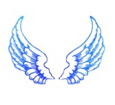 user avatar image for Michael