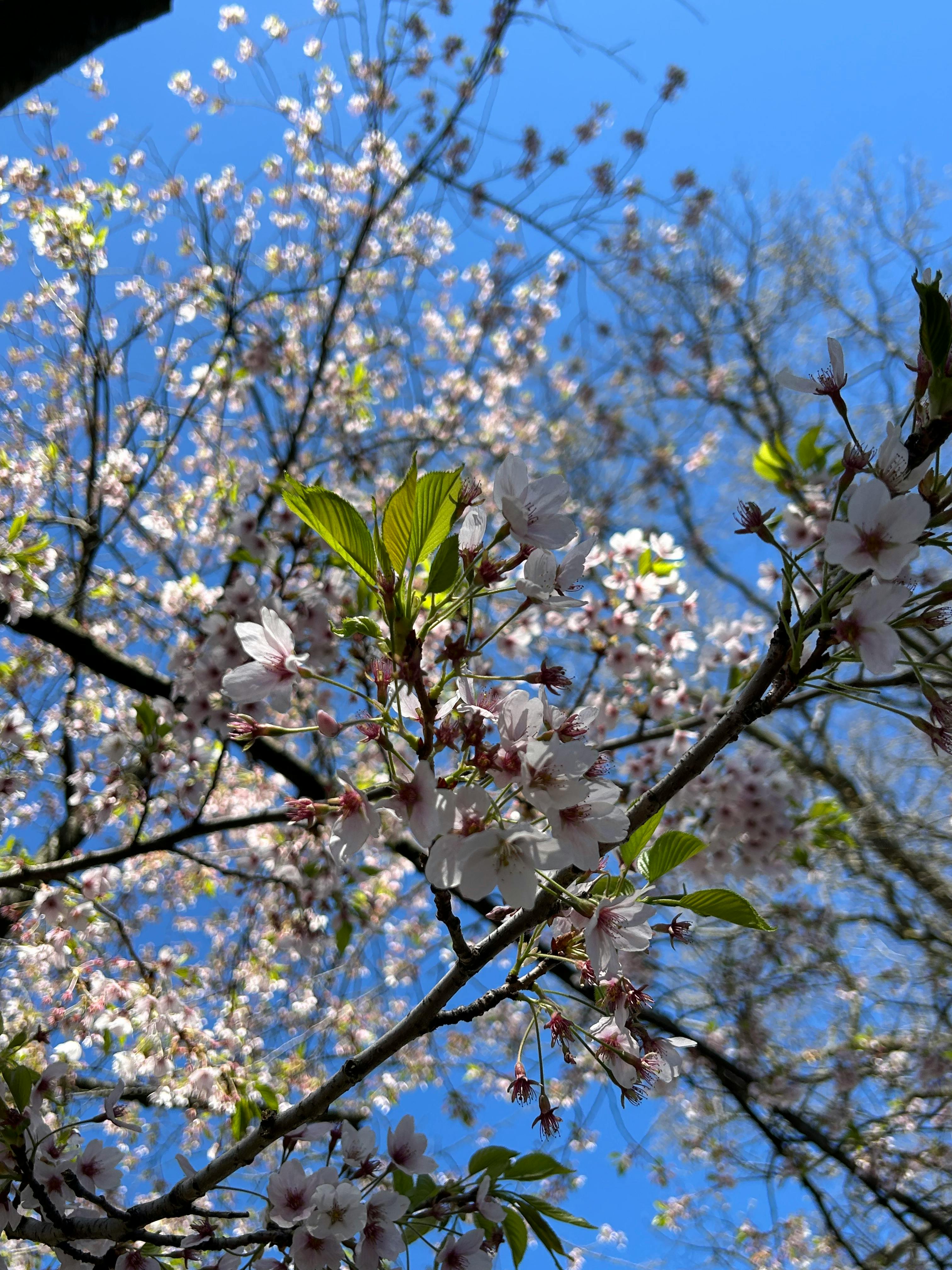 user avatar image for Heidy