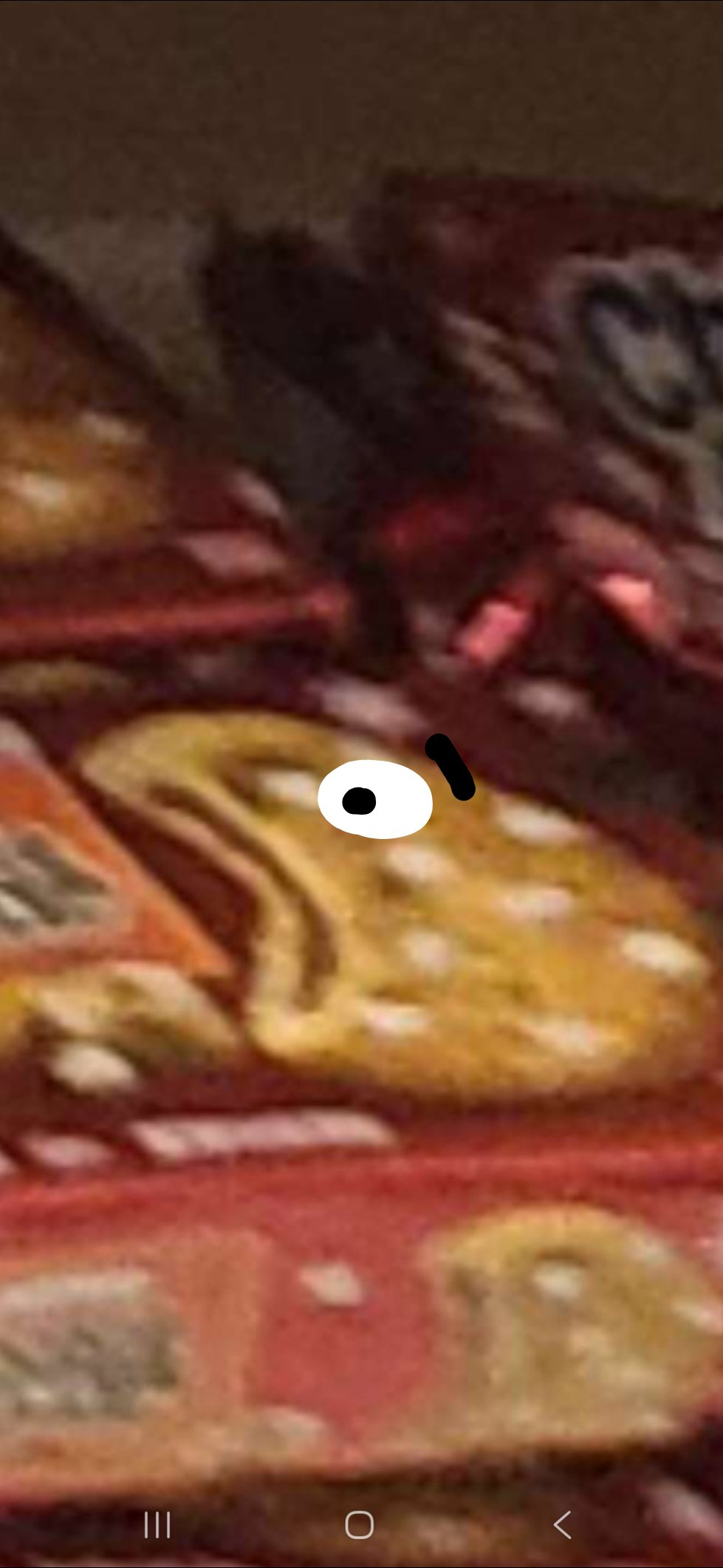 user avatar image for Laura