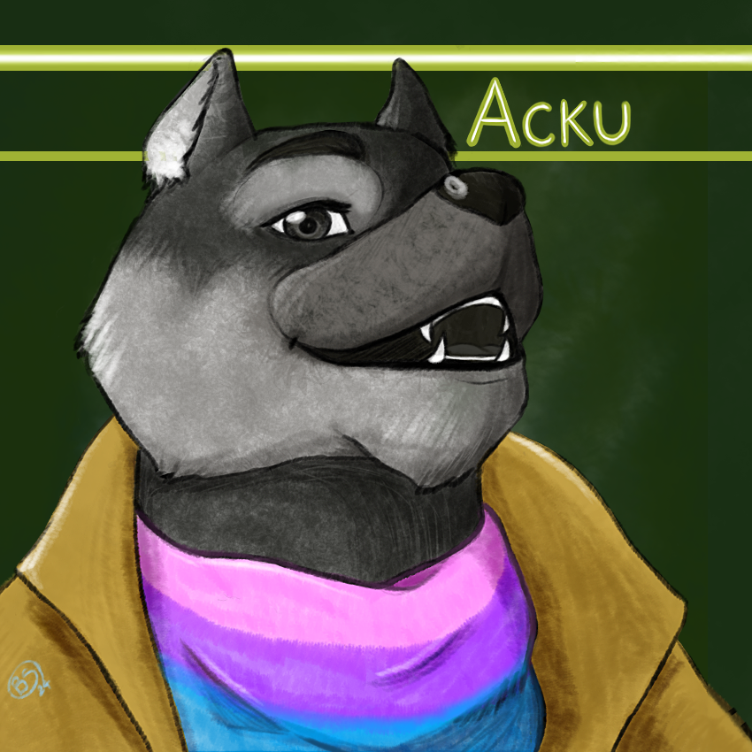user avatar image for Acku