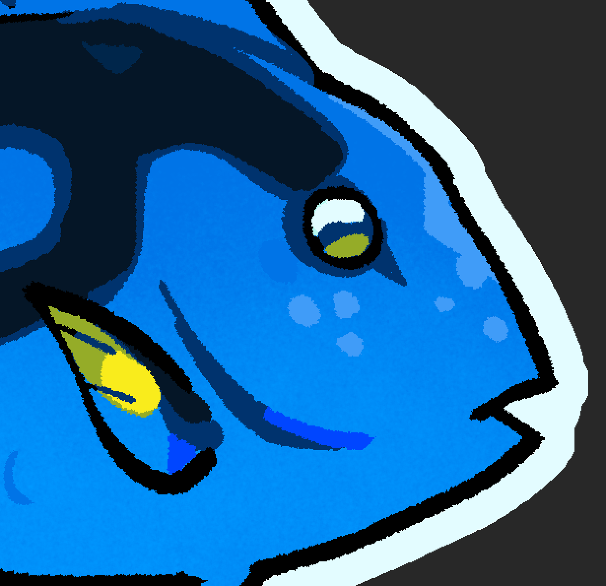 user avatar image for kayak