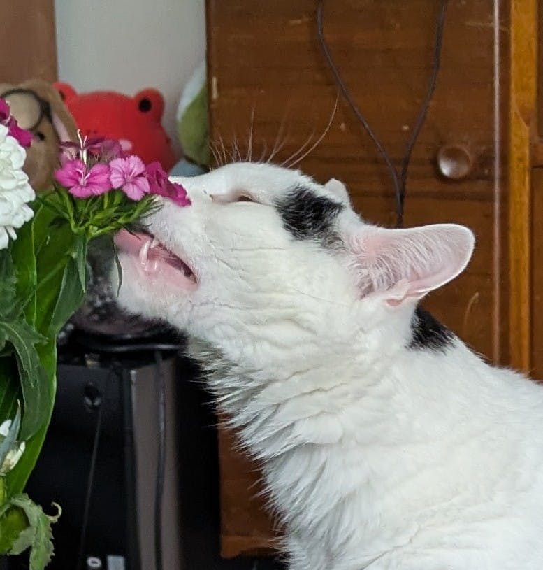 user avatar image for Oliver Elliot